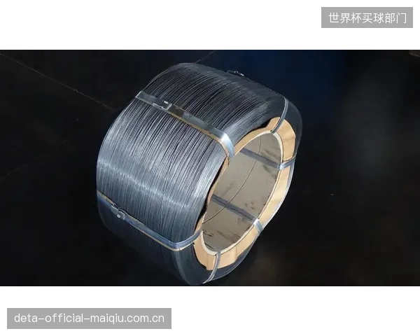 材料技术在进步，施工方法却停滞不前：先进的超低温钢丝绳，却仍在使用可能破坏其镀锌层的落后夹具进行拉力标定